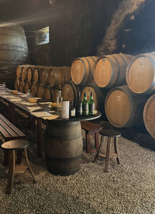 A private wine tour stop at a Douro estate