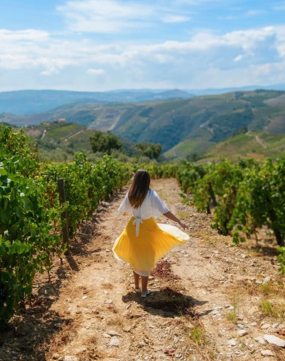 Inside the cellar on a Douro Valley quinta visit