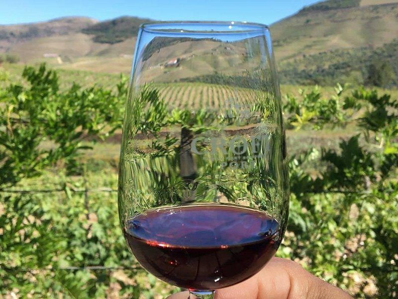 A glass of Douro red held against the vineyard terraces