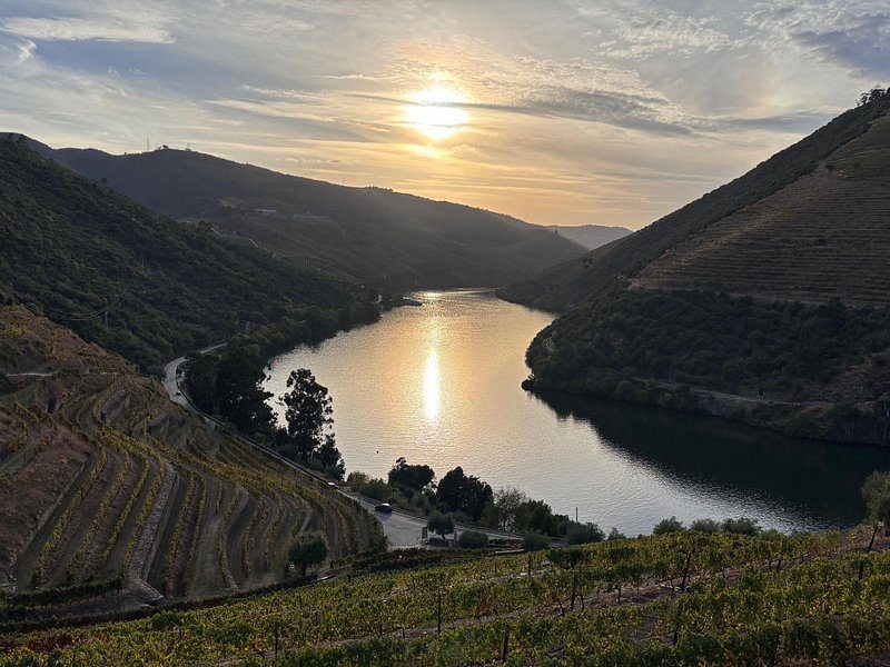 The Douro River bending between terraced slopes at sunset
