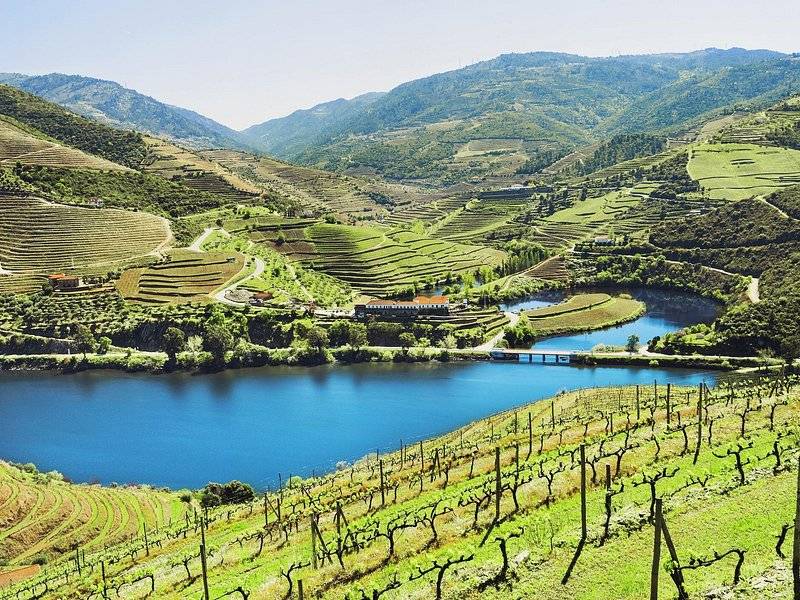 Douro vineyards running down to the river reservoir