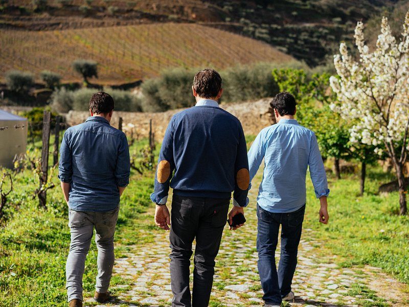 Walking between the vine rows on a Douro estate