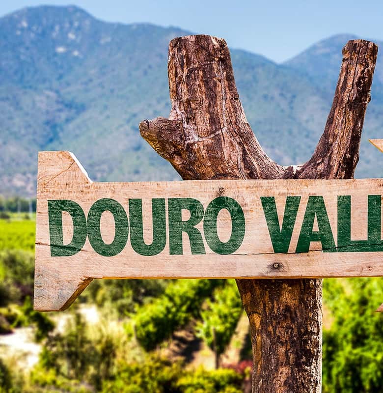From Porto: Douro Valley with Boat Tour, Wine Tasting & Lunch