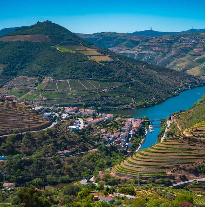 A riverside village of red-roofed houses on a bend of the Douro, seen from a hillside above, with terraced vineyards on the slopes and a bridge crossing the river